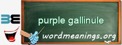 WordMeaning blackboard for purple gallinule